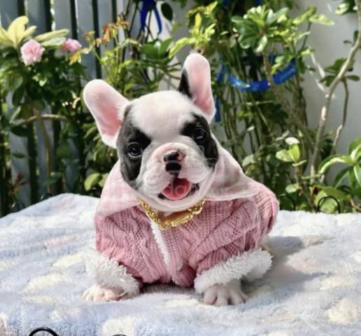 Carousel Image Selected