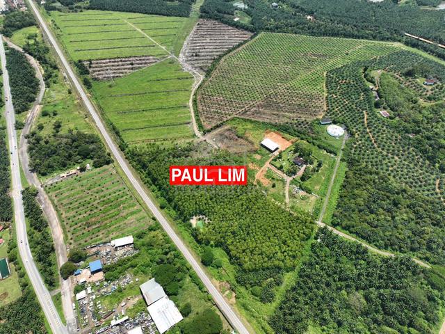LAND SALE At BEDONG NEAR SEKOLAH SUNGAI TOK PAWANG 98.95 ACRE 5