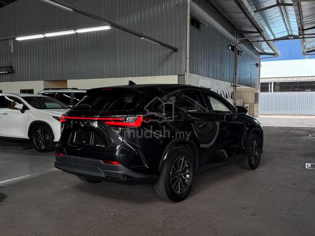 2023 Lexus NX 250 Most Wanted SUV in Malaysia !! - 2