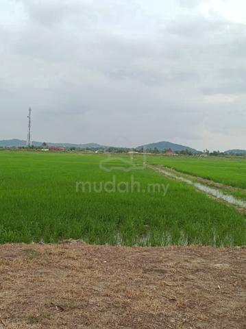 Geran Individu MURAH Bendang Kuala Muda 1