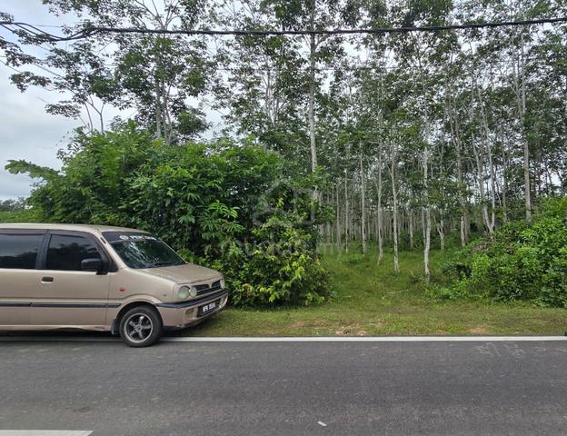 tanah prime area hosba freehold tanah kebun getah 1