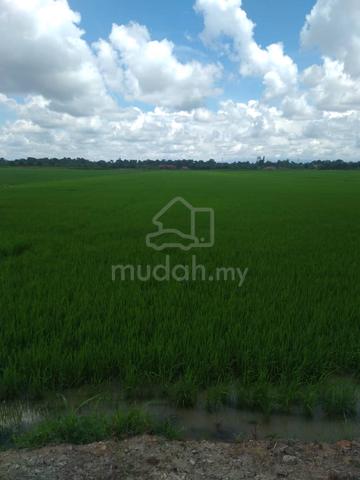 Tanah di Pasir Salak 1