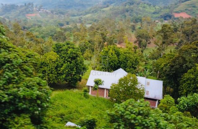 BANGLOW 1,950sqft TANAH DUSUN 1.03 Ekar JANDA BAIK PAHANG 1