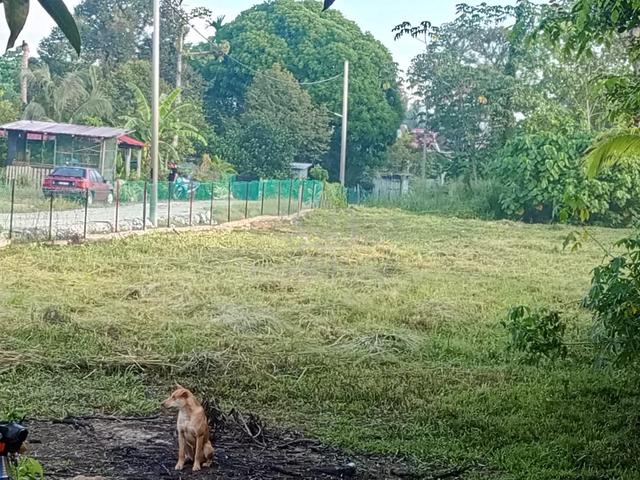 Tanah Untuk Dijual Payajaras - kawasan strategik 1