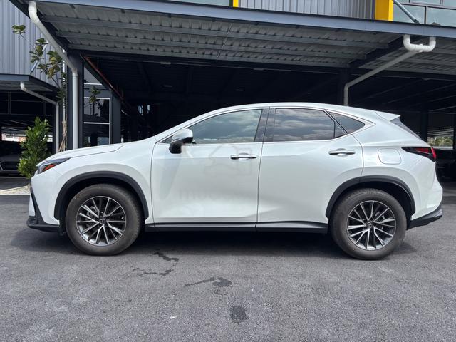 2022 Lexus NX 250 2.5 BASE DIM BSM SUNROF UNRG - 3