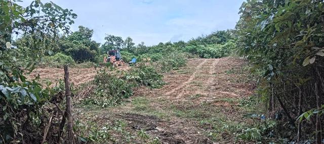 Tanah pertanian untuk dijual di Chenor 3