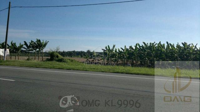 Banting Kuala Langat 60 Acres Land Facing Main Road Freehold Land 3