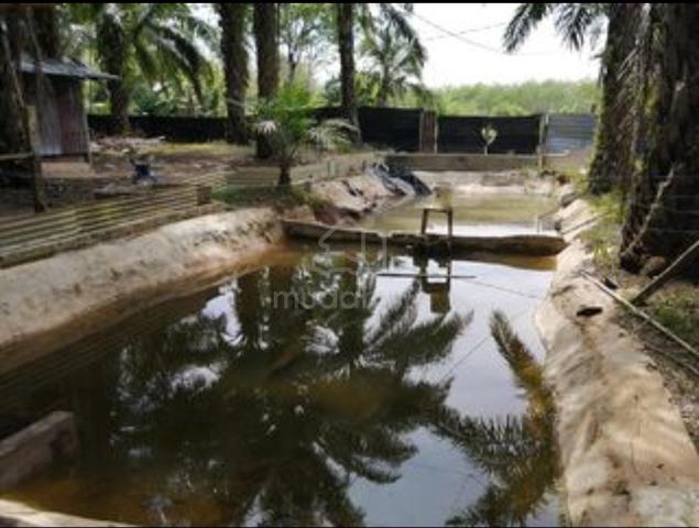 Changlun Tanah Serbaguna 1