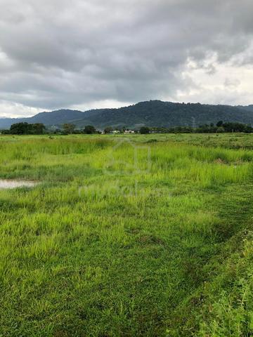 Tanah Langkawi untuk dijual 1