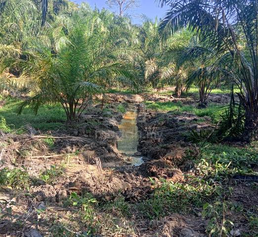 Tanah kelapa sawit untuk dijual 3