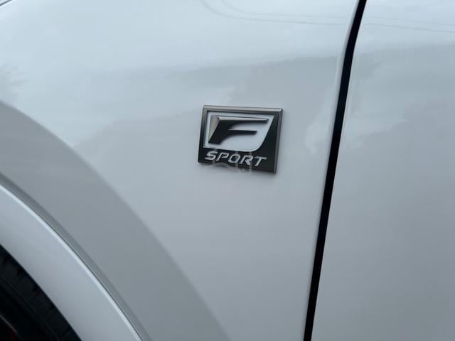 2024 Lexus RX350 2.4 F SPORT (A) - 5
