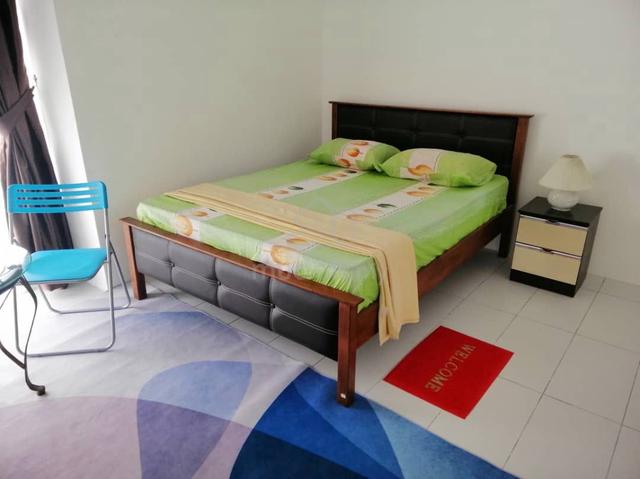 Gem Suites 5