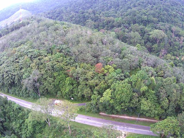 Tanah sawit 21 ekar di Johol 1