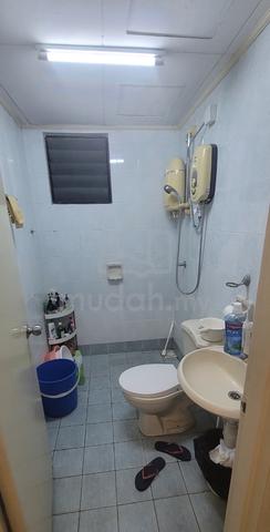 Looking for someone to share the whole unit 3