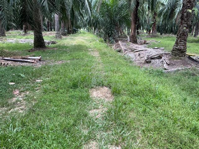 Linggi/ Sengkang ( Port Dickson) 1