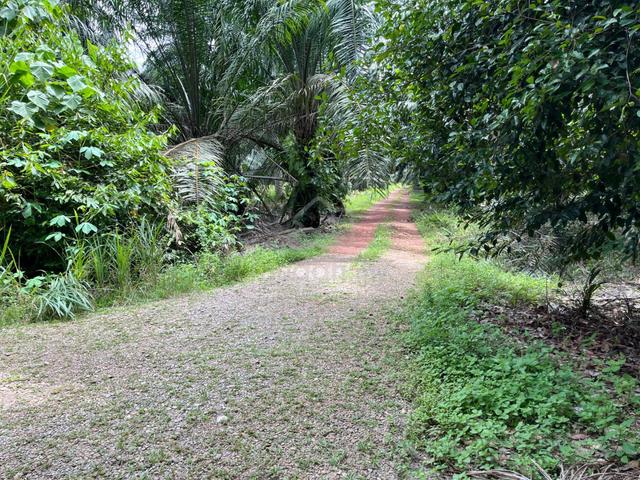 Zoning Industry Land For Sale- Telok Panglima Garang 1