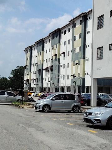 Kelompok Seri Anggerik 1