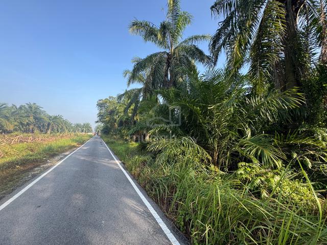 Freehold agricultural land for sale in Jeram, selangor 1