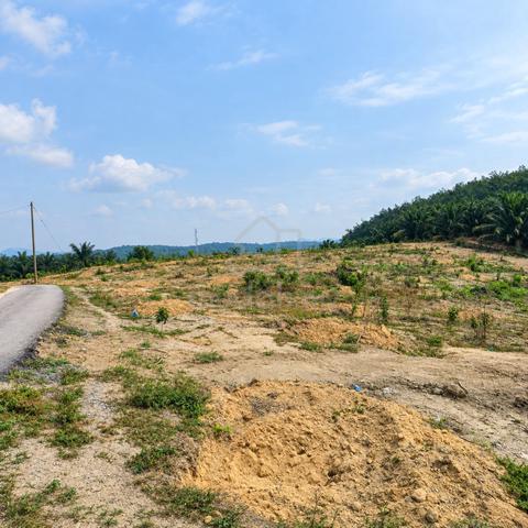 Melaka Selandar Agricultural Freehold Land For Sale 1