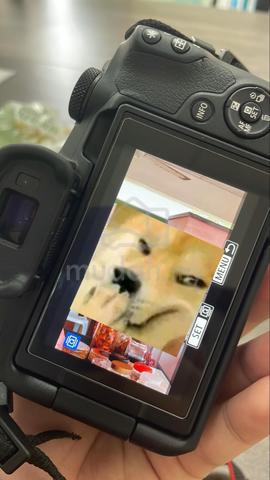 Carousel Image Selected