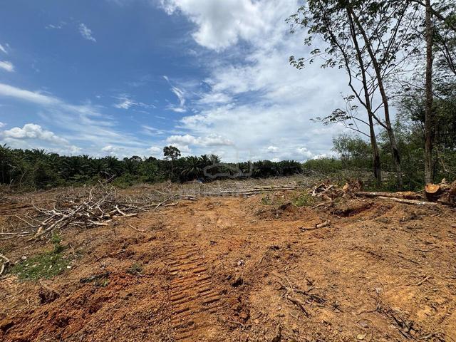 7.475 ACRES Agriculture Land, Durian Tunggal Melaka 1