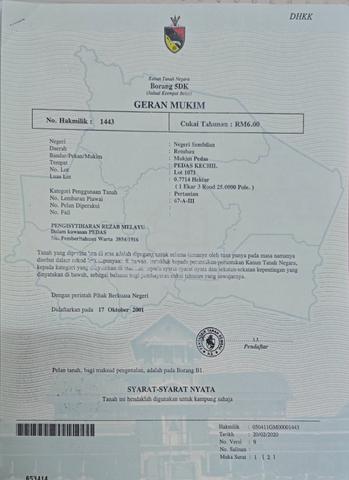 Tanah free hold untuk dijual 1