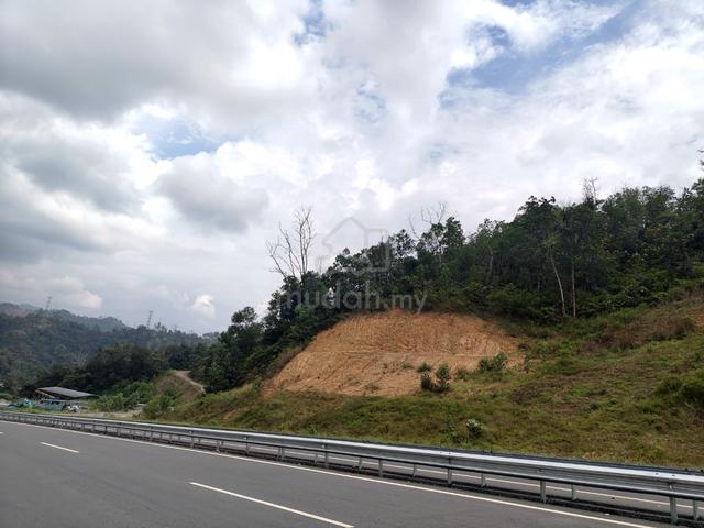 Tindai, roadside Pan Borneo near Donggongon 1