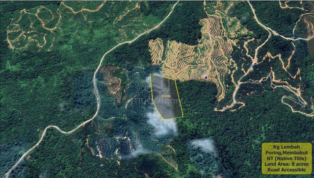 NT Land | 8.07 acres| Flat Land | Agricultural | Kg Poring | Membakut 1