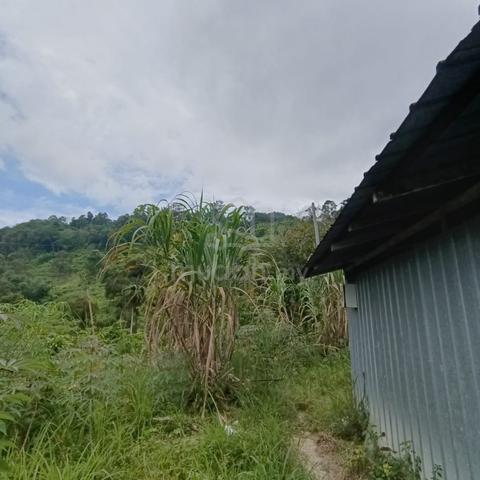 Agriculture land in Balik Pulau @Bukit Ayer Itam 2