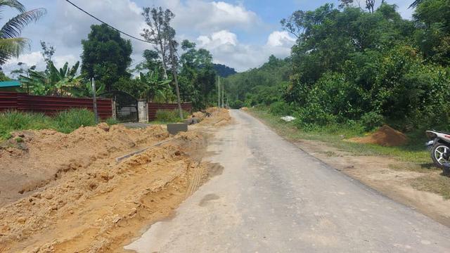 Tanah Sawit Tua murah murah 1