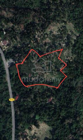 6.7 Acres Premium Freehold Durian Orchard @Balik Pulau – (Nego) 1