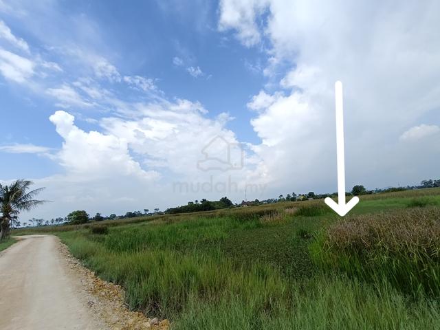 Tanah 2 relong Mukim Tobiar Lubuk Tiram Pendang 1