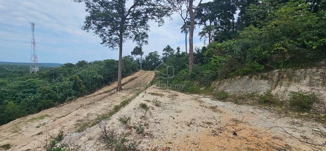 Tanah untuk dijual 1