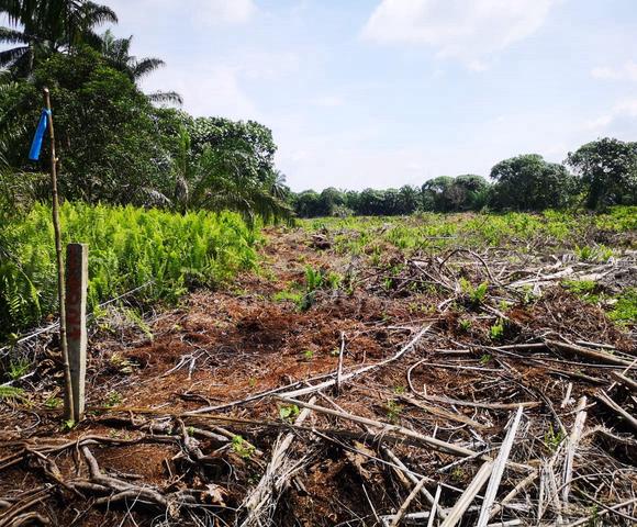 2 Acres Land , Telok Panglima Garang , Klang, Selangor 4