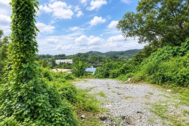 0.5 Acre Agricultural Industrial Zone Kampung Baru Subang U6 Shah Alam 1