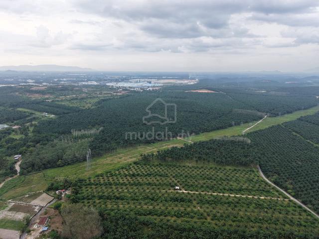 Kulim Agriculture land Tanah Pertanian Zonnuing Industrial For Sales 1