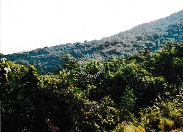 Kionsom Land (CL) 1