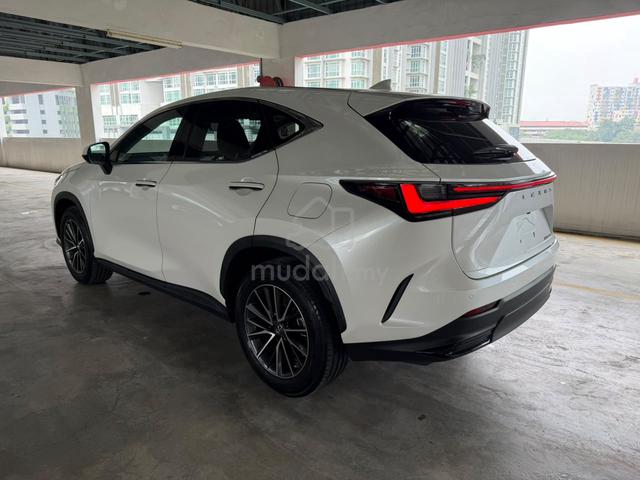 2022 Model: Lexus Nx250 - 5