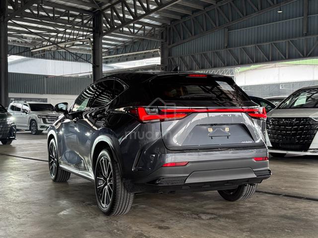 Lexus NX250 LUXURY Grey Color Rare Low Mileage - 5