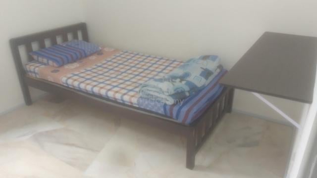 newly renovated & fully furnished  1