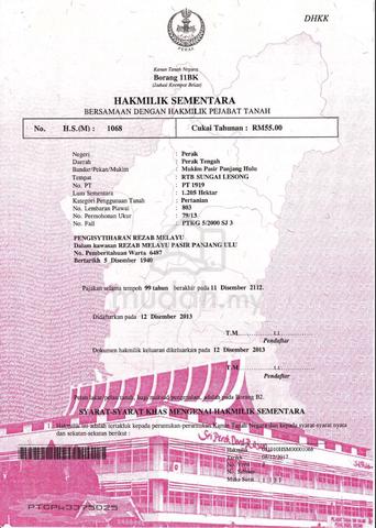 dua lot tanah sawit untuk dijual pajak (mukim pasir panjang hulu) 1