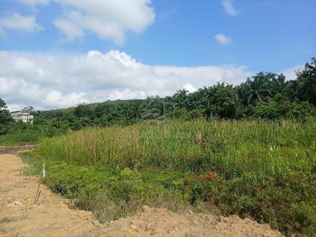 land for rent  1