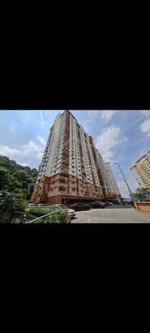 Flora Damansara 1