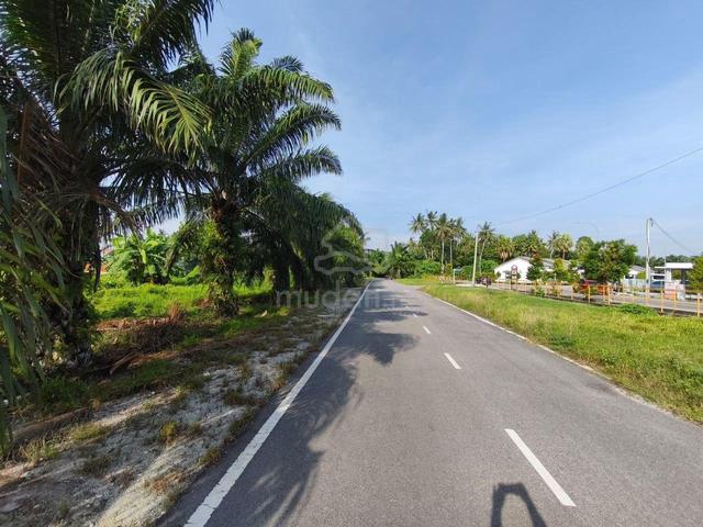 Kampung Batu 12 Kapar (Off Jalan Pusara) Tanah Pertanian Untuk Dijual 1