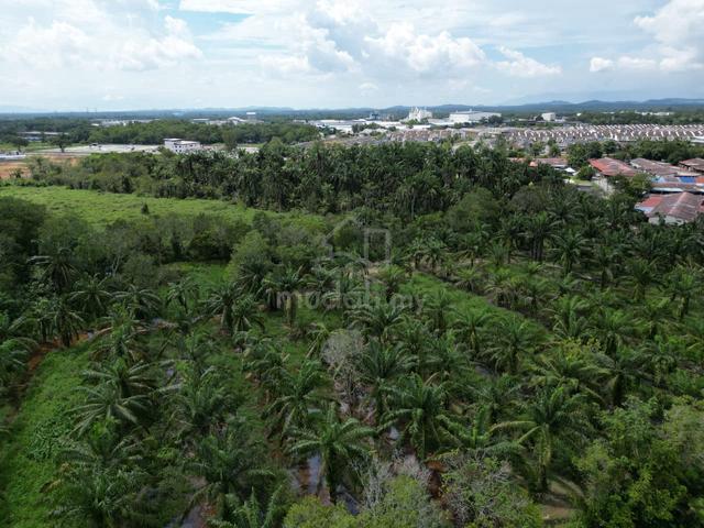 Kuala Ketil Agricultural Land Zoning Residential Develoment For Sale 2