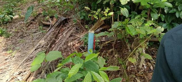 Tanah Kebun Untuk Dijual 1