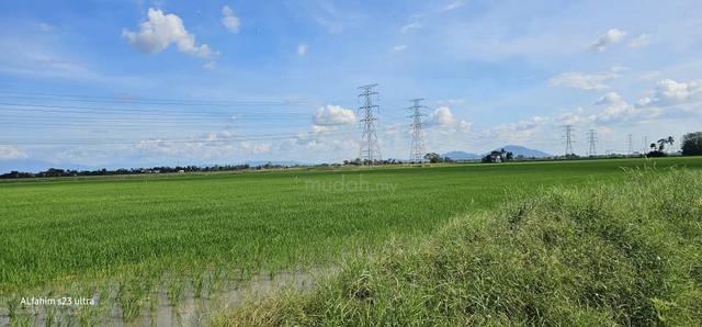 Tanah Bendang 1