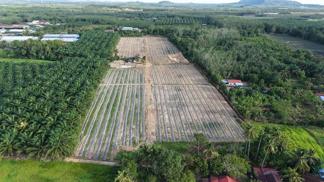 Agricultural Land For Sale 1