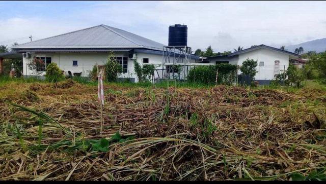 land lot13 1