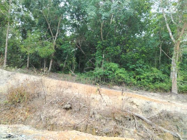 Tanah Getah Lubuk Hampa,Marang 1